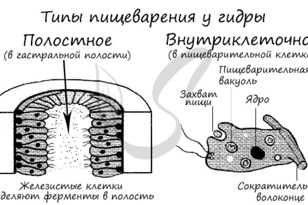 Кракен сайт 1kraken me