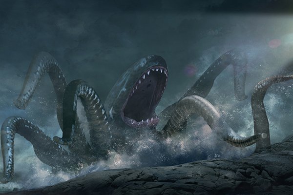 Kraken link
