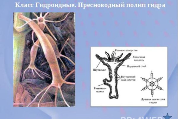 Кракен сайт как зайти