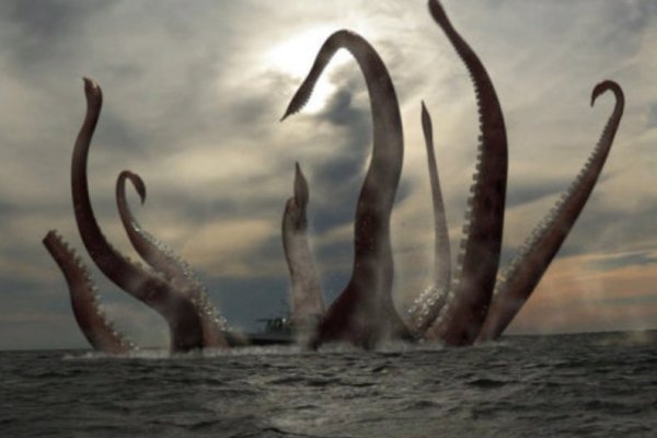 Kraken рынок